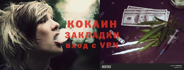 apvp Алзамай