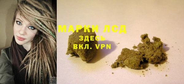 apvp Алзамай