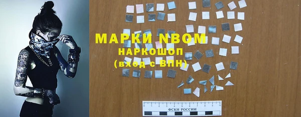 apvp Алзамай