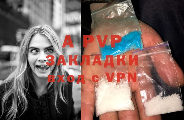 apvp Алзамай