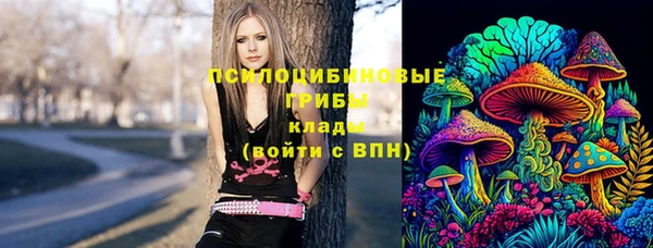 mdpv Алексин