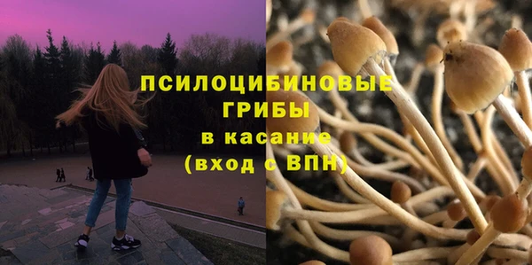 mdpv Алексин