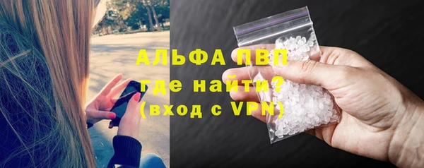 apvp Алзамай